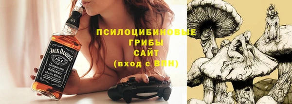 амф Кукмор