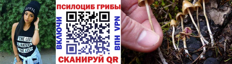Купить закладки  Вытегра  Галлюциногенные грибы Cubensis 